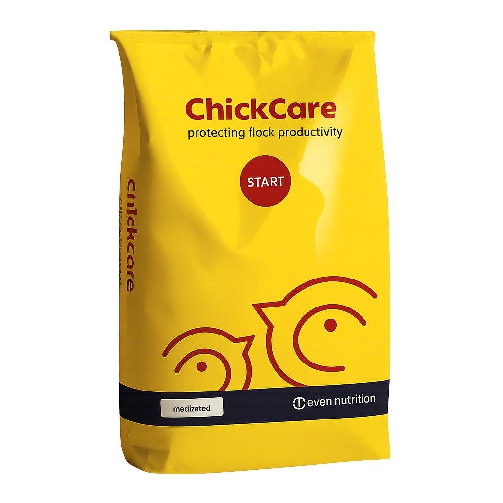 chickcare